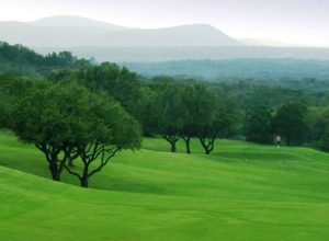 horseshoe bay resort course